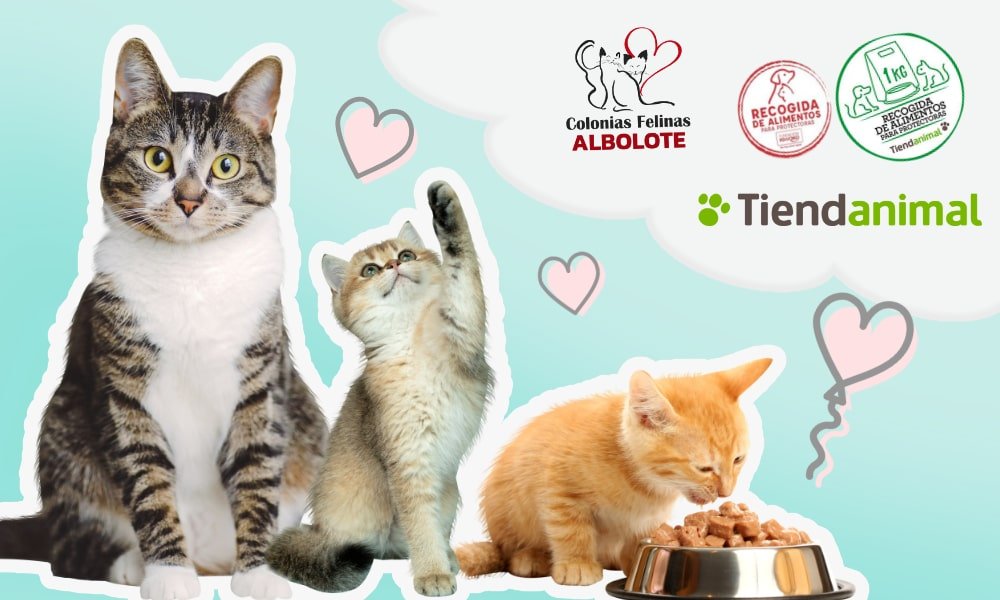 Recogida de alimentos solidario en Tiendanimal.